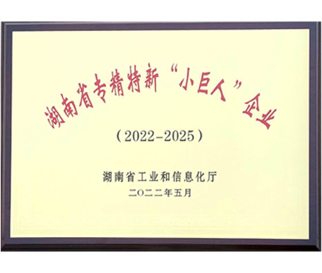 湖南省專精特新“小巨人”企業